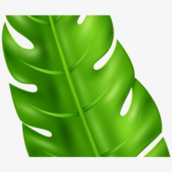 Green Leaves Clipart Cute - Exotic Leaf Png #2189499 - Free ...