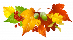 autumn-leaves-and-acorns-decor-png-picture1_orig.png (1100×611 ...