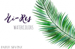 Watercolor Tropical Leaves Clipart | Palm Leaves Clipart ...
