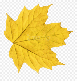 Free Png Download Autumn Leaves Clipart Png Photo Png ...