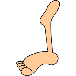 Cartoon Leg Clipart