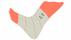 Crus Bandage Ankle Human leg Clip art - All Motion Technology Ab ...