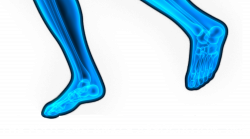 The Foot and Ankle Association Inc.