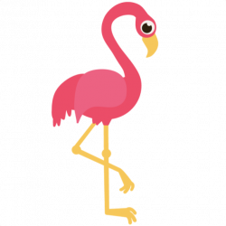 broken leg | The Bored Flamingo