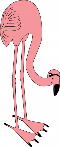 flamingo by @johnny_automatic, a flamingo I drew for an event, on ...