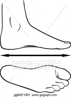 Vector Stock - Black and white outline of the foot. Clipart ...