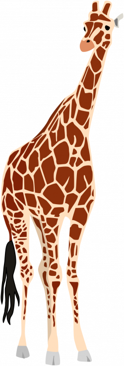 Clipart - Giraffe