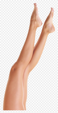 Legs Clipart Women's - Leg - Png Download (#3703120 ...