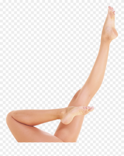 Legz Clipart Lady Leg - Women Legs - Png Download (#733868 ...