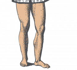 Cartoon Legs Png - save our oceans