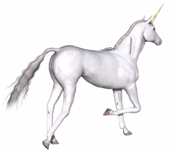 Full White Unicorn Right Leg Up transparent PNG - StickPNG