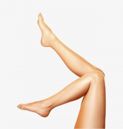 Download Free png Women's Legs, Leg, Foot, Product Object ...