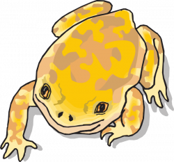 Yellow And Brown Frog Clip Art at Clker.com - vector clip art online ...
