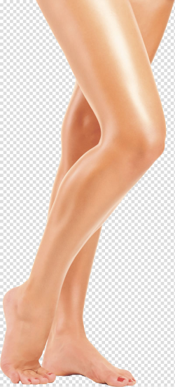 Human legs, Leg , Legs transparent background PNG clipart ...