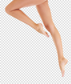 Leg , Women legs transparent background PNG clipart | HiClipart