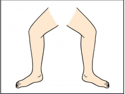 Free Legz Clipart, Download Free Clip Art on Owips.com
