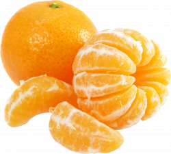 Peeled Orange transparent PNG - StickPNG