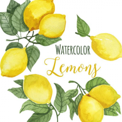 Watercolor Lemon Clip Art, Trendy Lemon leaves Clipart ...