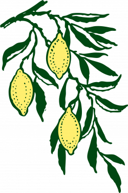 Clipart - lemon branch