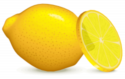 File:Lemon by cactus cowboy.svg - Wikimedia Commons