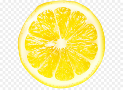 Lemon Juice Grapefruit Citron Citrus junos - Lemon Slices ...