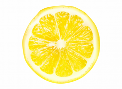 Gallery Fruit Png Ⓒ - Lemon Slice No Background Png ...