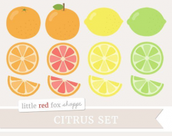 Citrus Fruit Clipart, Fruit Clip Art, Lemon Clipart, Orange ...