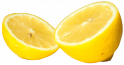 lemon cut half png - Free PNG Images | TOPpng