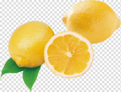 Meyer lemon Lime Sweet Lemon, Fresh lemon transparent ...