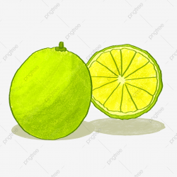 Fresh Fruit Lemon, Fruit Clipart, Lemon Clipart, Fresh Green ...