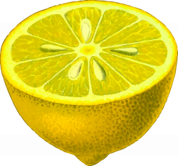 OnlineLabels Clip Art - Half-Lemon (Detailed)