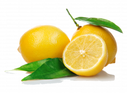Lemon PNG Transparent Free Images | PNG Only