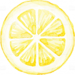 Vector illustration of lemon slice. | Seafood clipart in ...