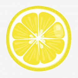 Lemon Slice Clip Art Lemon Slices Lemon #574664 - PNG Images ...