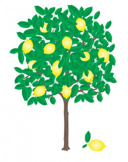 Free Lemon Tree Clipart, Download Free Clip Art, Free Clip ...