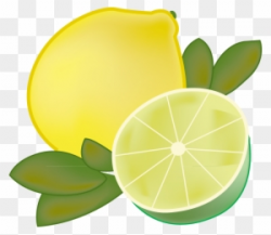 Lemon And Lime Clipart, Transparent PNG Clipart Images Free ...