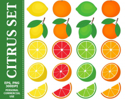 70% OFF SALE Citrus Clip Art - Fruit, Lemon, Orange, Lime ...