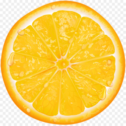 Lemon Cartoon clipart - Orange, Lemon, Fruit, transparent ...