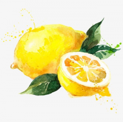 Hand-painted Watercolor Lemon PNG, Clipart, Fruit, Hand ...