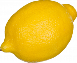 Lemon tart - Lemon PNG png download - 2037*1669 - Free ...