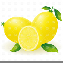 Lemon Tree Free Clipart | Free Images at Clker.com - vector ...