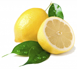 Lemon PNG Transparent Images | PNG All