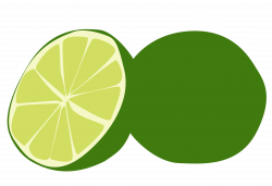 lime vector - Google Search | LimeWear | Pinterest