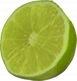 Clipart - Cut lime