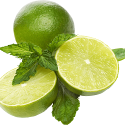 Mint and Lime transparent PNG - StickPNG