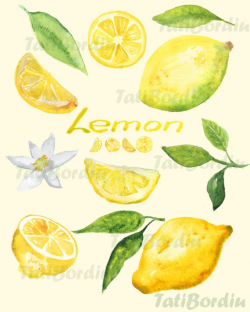Lemon Watercolor Clip Art (clipart) | Products in 2019 ...