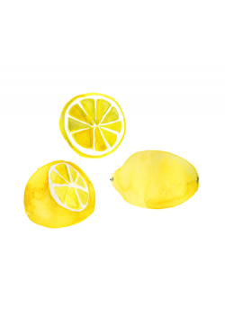 Two lemons are better than one (and a Sweet Lemon is better than ...