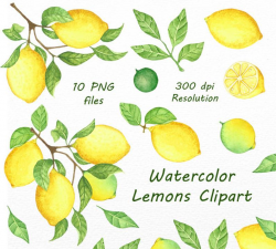 Watercolor Lemons Clipart, Lemon Watercolor clip art. Hand painted, PNG,  Digital clipart, Digital Watercolor, Personal and Commercial Use