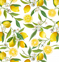 Lemon Flower Stock photography Clip art - Fresh lemon border 1416 ...