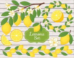 Lemon Clipart - Vector Lemon Clipart, Rustic Clipart, Lemons Clipart,  Citrus Clipart, Lemon Branch Clipart, Lemon Clip Art